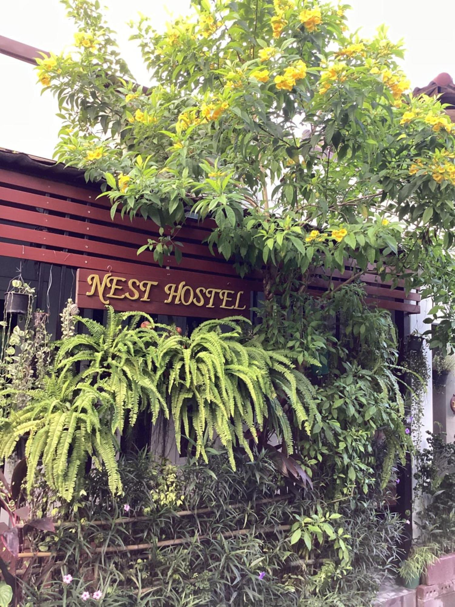 Nest Hostel Lipe Eksteriør billede